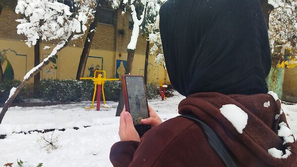 درختان طلایی ، سفید پوش شدند 