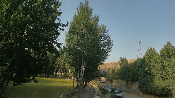 باغ بهادران؛ بهشت کوچکی در اصفهان