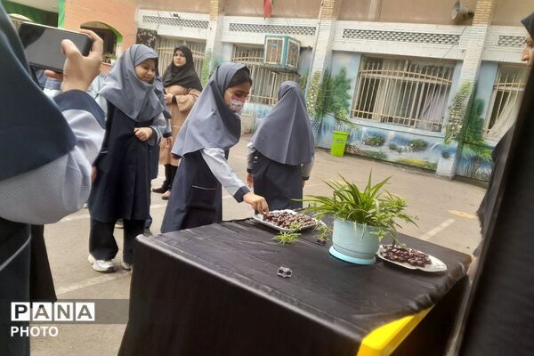 مراسم بزرگداشت ایام فاطمیه در مدرسه شهدای ایران تایر