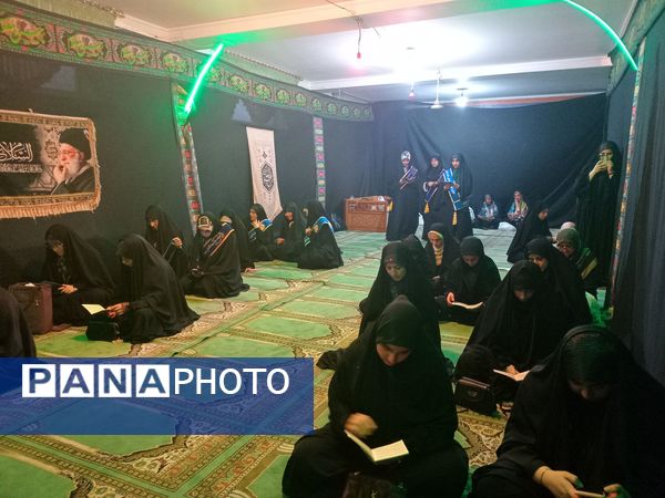 مراسم عزاداری روز بیست و هشتم ماه صفر در شهرستان قائمشهر