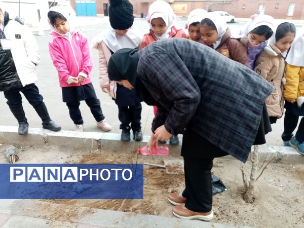 زینت بخشی مدارس شهرستان قدس با کاشت نهال های جوان