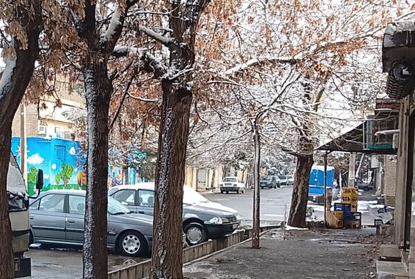 بارش دل‌انگیز برف‌ در اولین روزهای بهمن ماه
