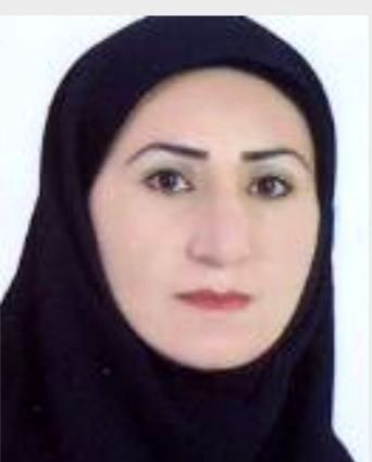 زبان فارسی میراثی هزارساله و پایدار است