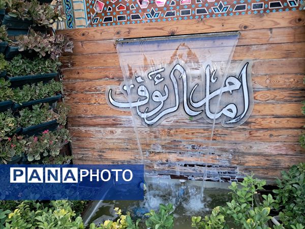 کبوتر حرم مشهد مقدس