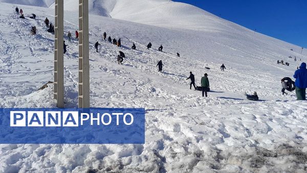 بارش سنگین برف در بن؛ رکورد تازه زمستان