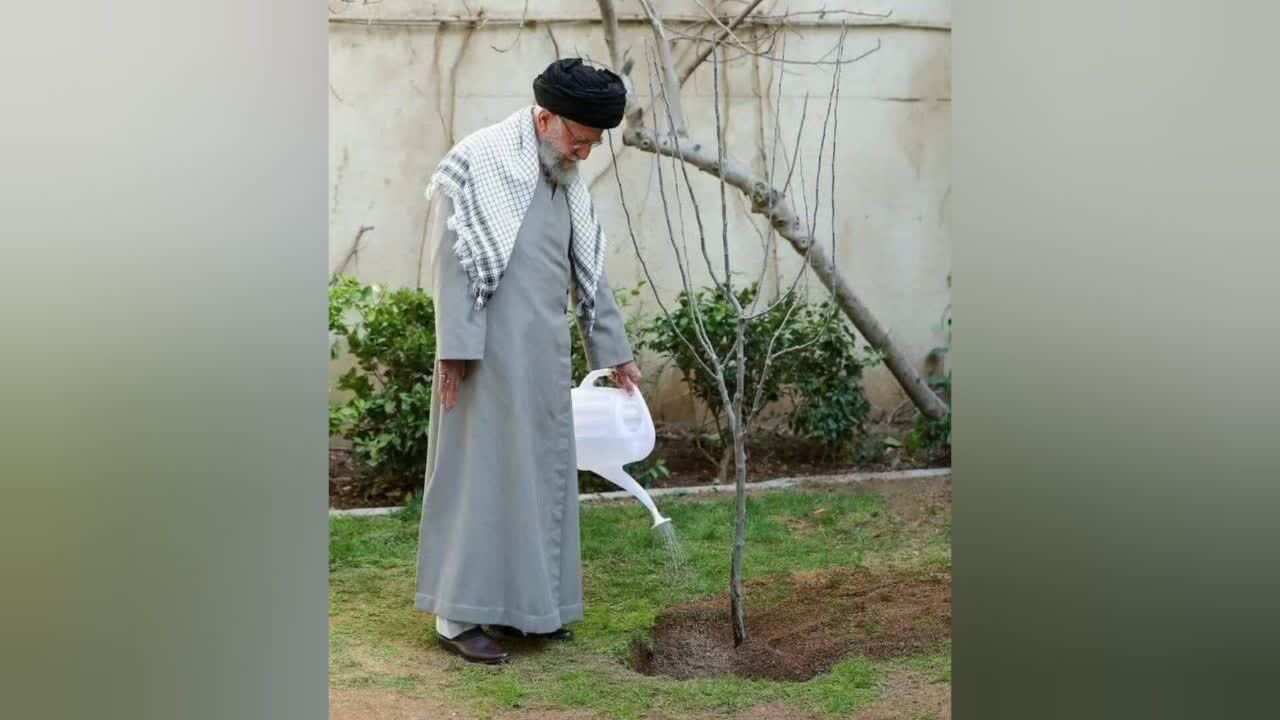  نهالی برای فرمانده ؛ درختی برای ایران