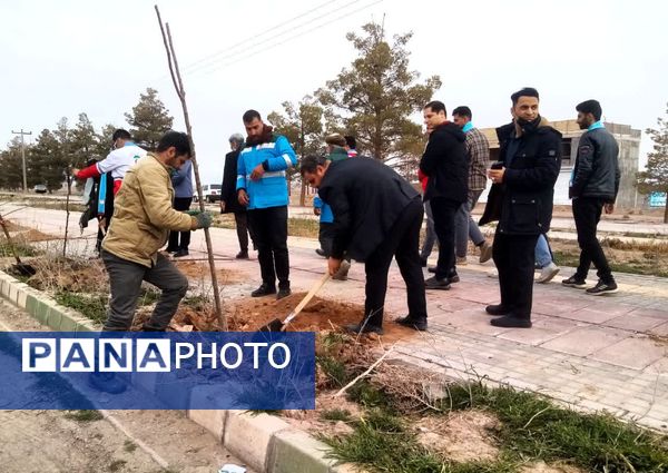 روز درختکاری در تربت جام