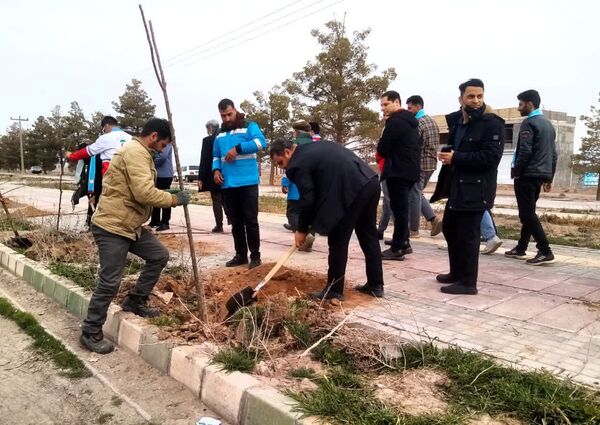 روز درختکاری در تربت جام