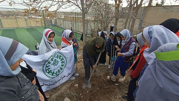 درختکاری در دبستان شهید ذکاوتی مایوان