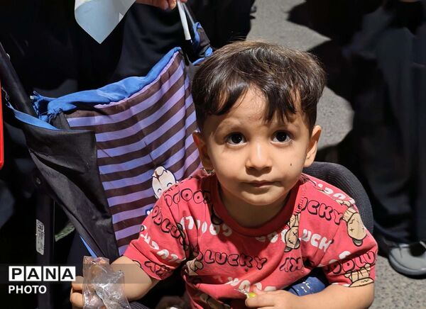جلوه هایی از جشن غدیر در مواکب مردمی قم 