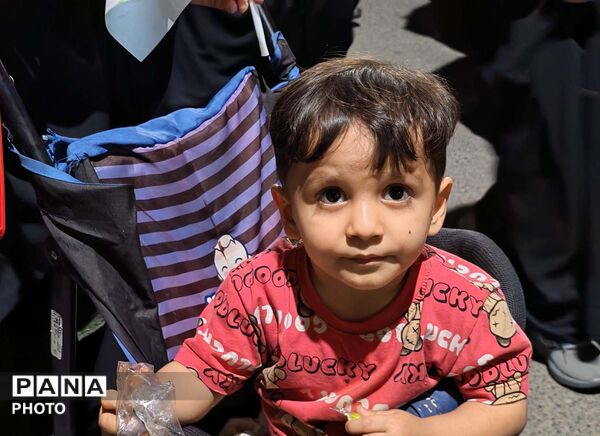 جلوه هایی از جشن غدیر در مواکب مردمی قم 