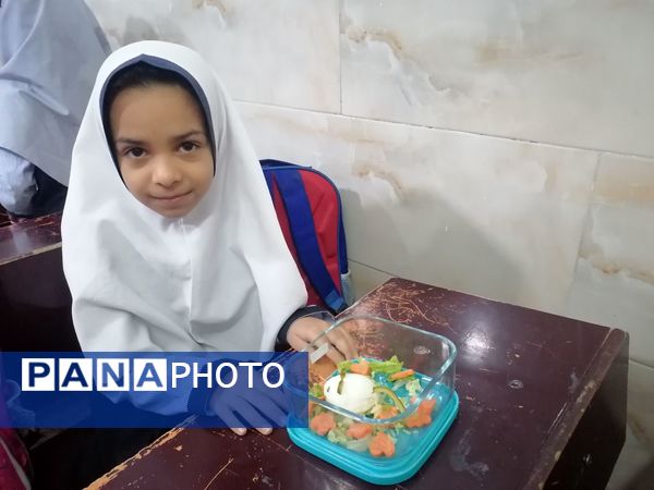 روز جهانی تخم مرغ در نیشابور 