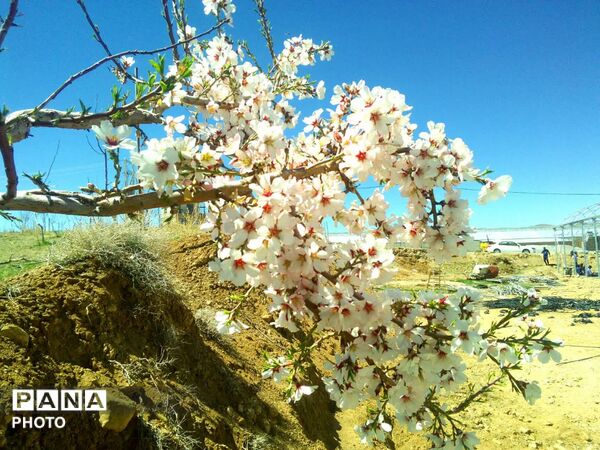 وانان، تابلوی بی‌بدیل خالق، شکوه رنگ‌ها و عظمت کوهستان