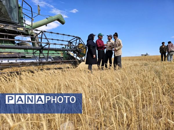 بازدید برداشت گندم در شهرستان فاروج