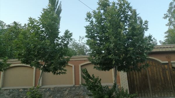 باغ بهادران؛ بهشت کوچکی در اصفهان
