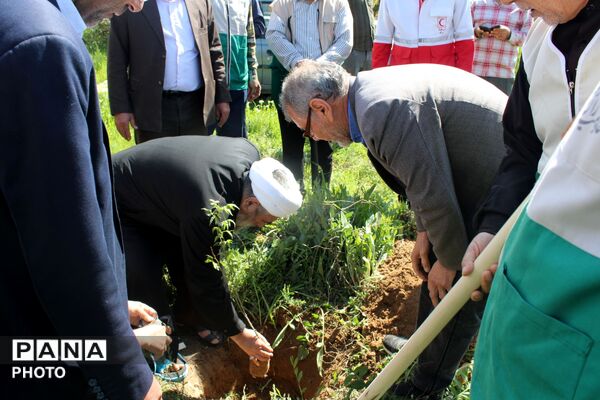 آیین درختکاری در سملقان