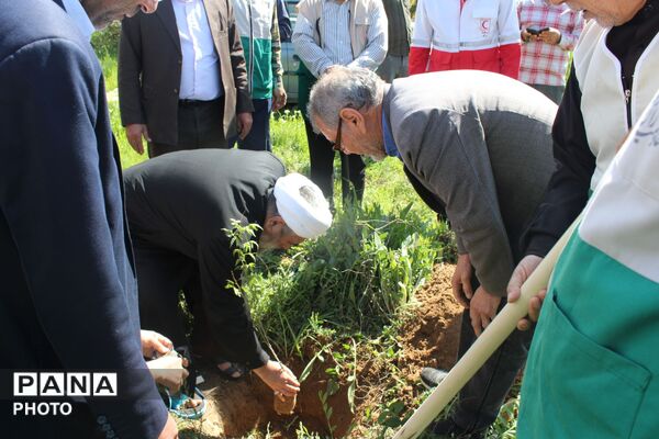 آیین درختکاری در سملقان