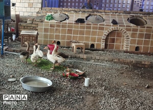 خدمت‌رسانی تنورخانه سنتی ایران در جشن غدیر جمکران