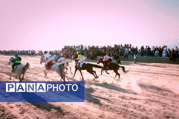 دومین دوره مسابقات اسب‌دوانی استان‌های جنوبی کشور در بندرپل