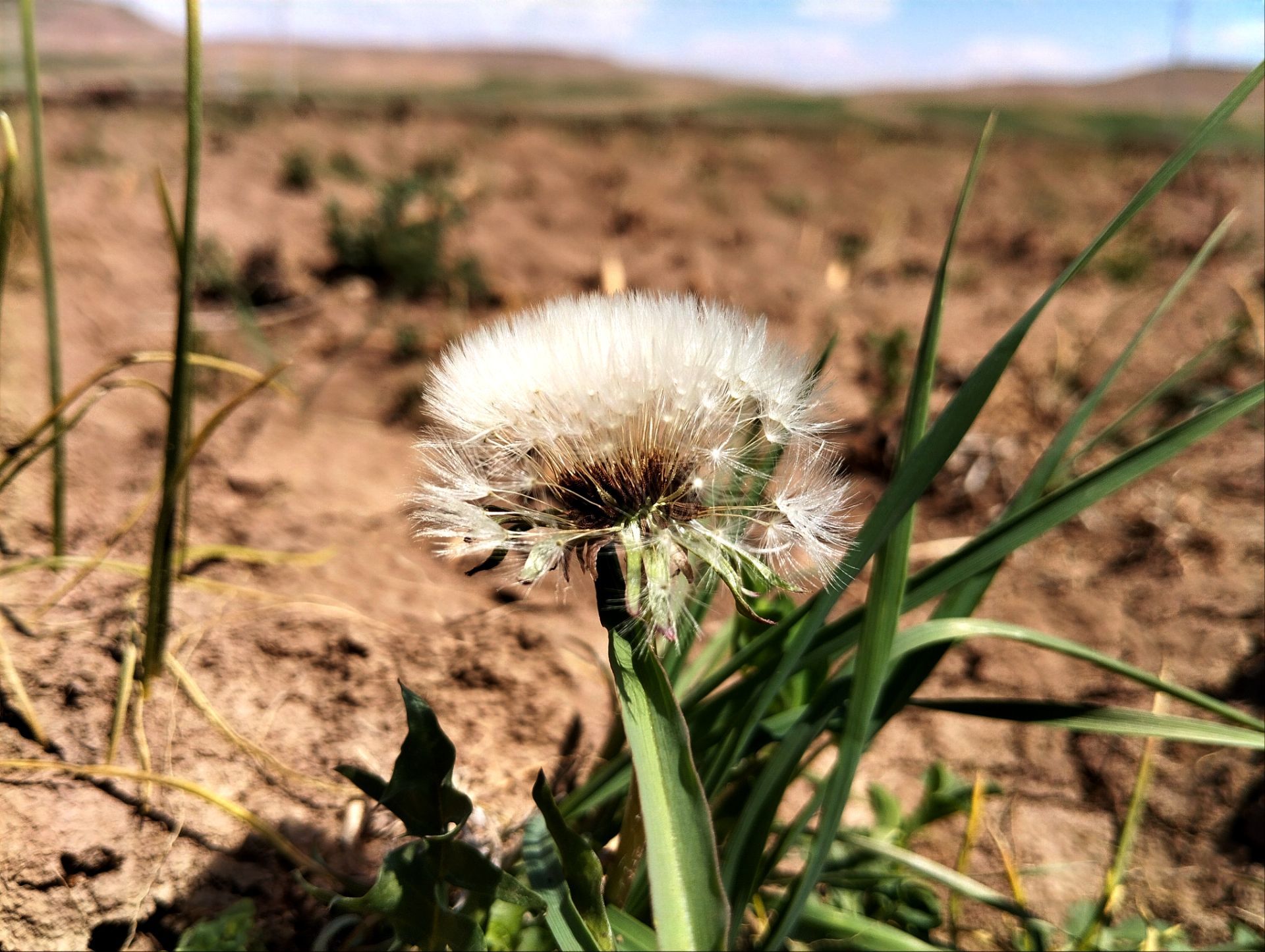 سیزده بدر، نقاشی رنگارنگ طبیعت را بر بوم تصاویر رقم زد
