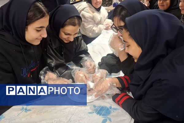 کارگاه تشریح قلب برای دانش آموزان فرزانگان شهرستان ملارد