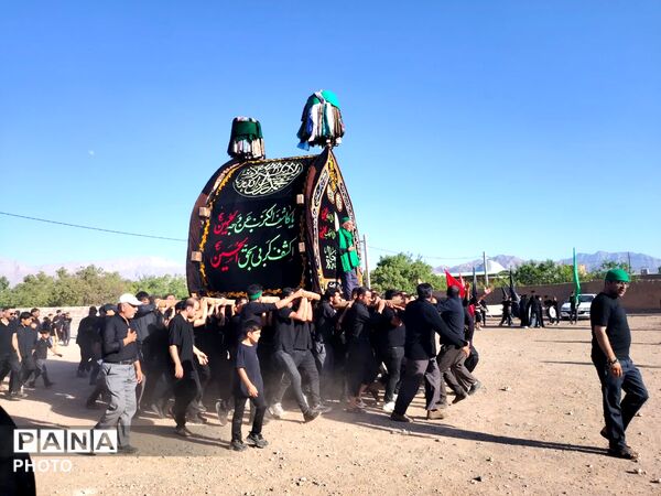 نخل‌برداری روز عاشورا در روستای صالح آباد شهرستان تفت