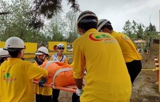 ابلاغ دستورالعمل مشترک «دادرس چهاردهم» و «ماهر ۲»