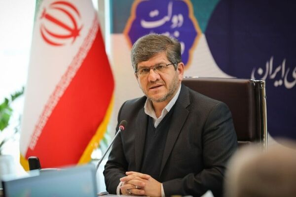 ذاکری: راه‌آهن با حداکثر ظرفیت در خدمت جابه‌جایی زائران مراسم تشییع رهبر شهید انقلاب قرار می‌گیرد