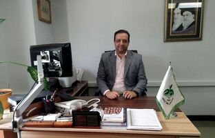 «موج آرامش» رادیو سلامت؛ نوایی برای همدلی و پایداری 