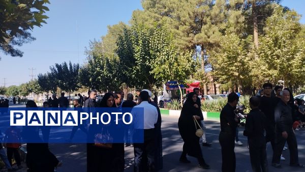 برپایی موکب‌های اربعین حسینی در خلیل آباد 