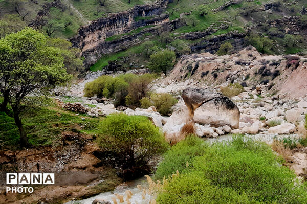 طبیعت روستای بیدله به هنگام بهار