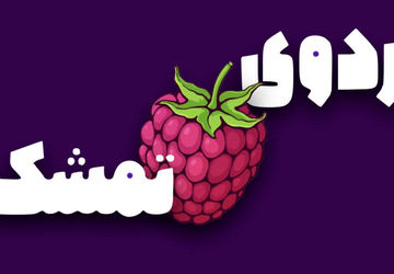 اردوی تمشک،فرصتی برای آموزش همراه با شادی و نشاط


