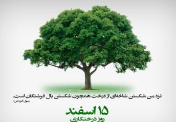 درخت و درختکاری نماد حیات و پایداری است
