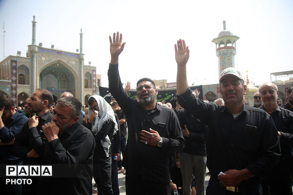 دسته عزاداری خادمان حرم حضرت معصومه(س) در سالروز شهادت امام رضا(ع)