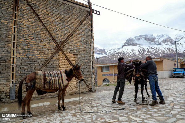روستای خفر _ نوروز 1405