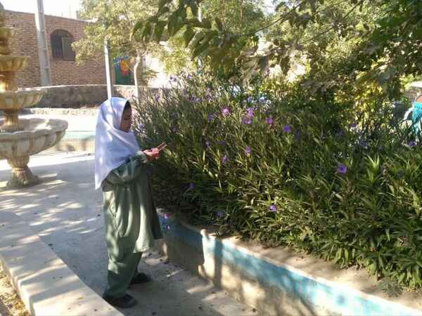 لمس طبیعت با حواس پنج‌گانه، سفری از شناخت تا شکرگزاری در هفته بهداشت روان