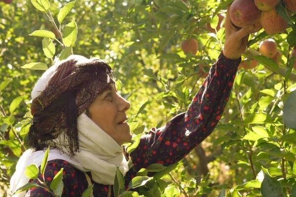 آغاز پخش سریال «مادران» از جمعه ۱۱ اردیبهشت در شبکه یک سیما