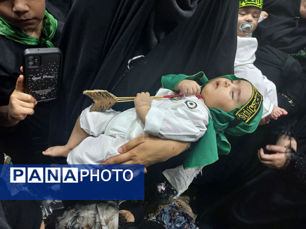 همایش شیرخوارگان حسینی(ع) در قم - 2