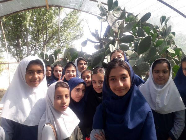 بازدید دانش‌آموزان مدرسه شهید خاقانی از گلخانه پیشه‌وران شیروان