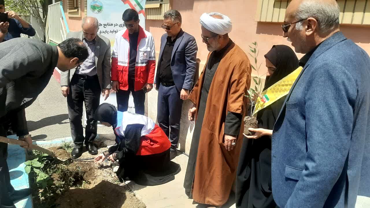 کاشت نهال به یاد شهدای جنگ رمضان در مدرسه قاهان قم