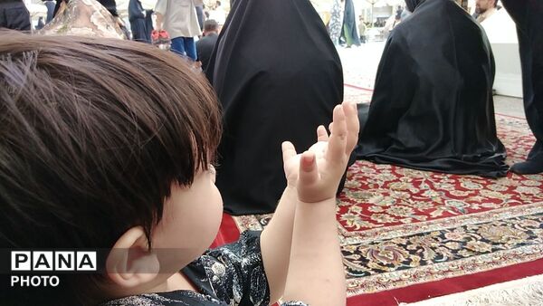 دعای پرفیض عرفه در حرم مطهر امام رضا (ع)