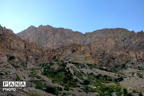 کوه های شهر بار ذخیره‌گاه گیاهان ارزشمند و کم نظیر دارویی 