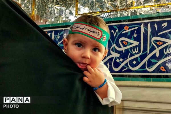 گهواره‌های سبز در سوگ کربلا؛ همایش شیرخوارگان حسینی در بجنورد/1
