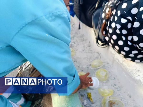 فداکاری در سکوت: رفتگر اربعین، قهرمان گمنام جمع‌آوری زباله در کاشمر