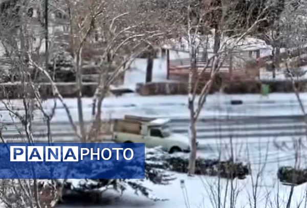 بارش برف در استان البرز 