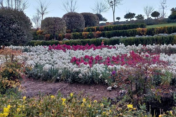 باغ گل ها در شهر گل ها شیراز