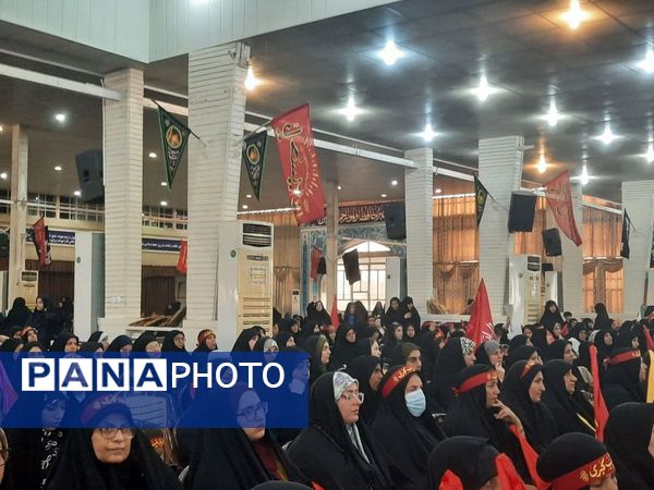 اجتماع زینبیون در بوشهر