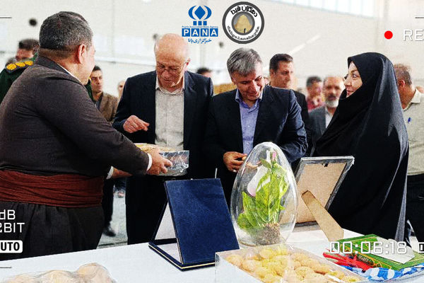 کارخانه تولید کلوچه شیرین هلن با سرمایه‌گذاری ۱۶ میلیارد تومانی در دهگلان افتتاح شد