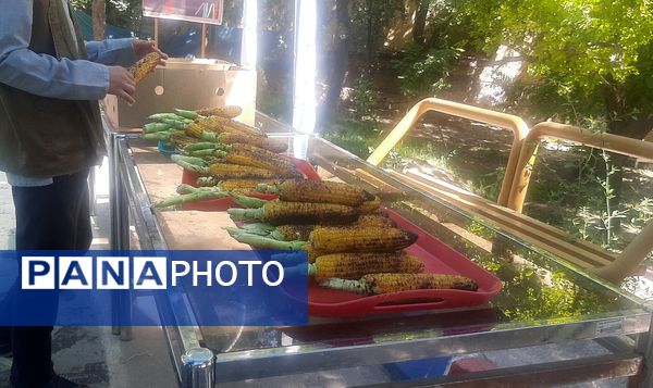 مراسم روز تکریم از دانش‌آموزان فعال خراسان رضوی ویژه پسران