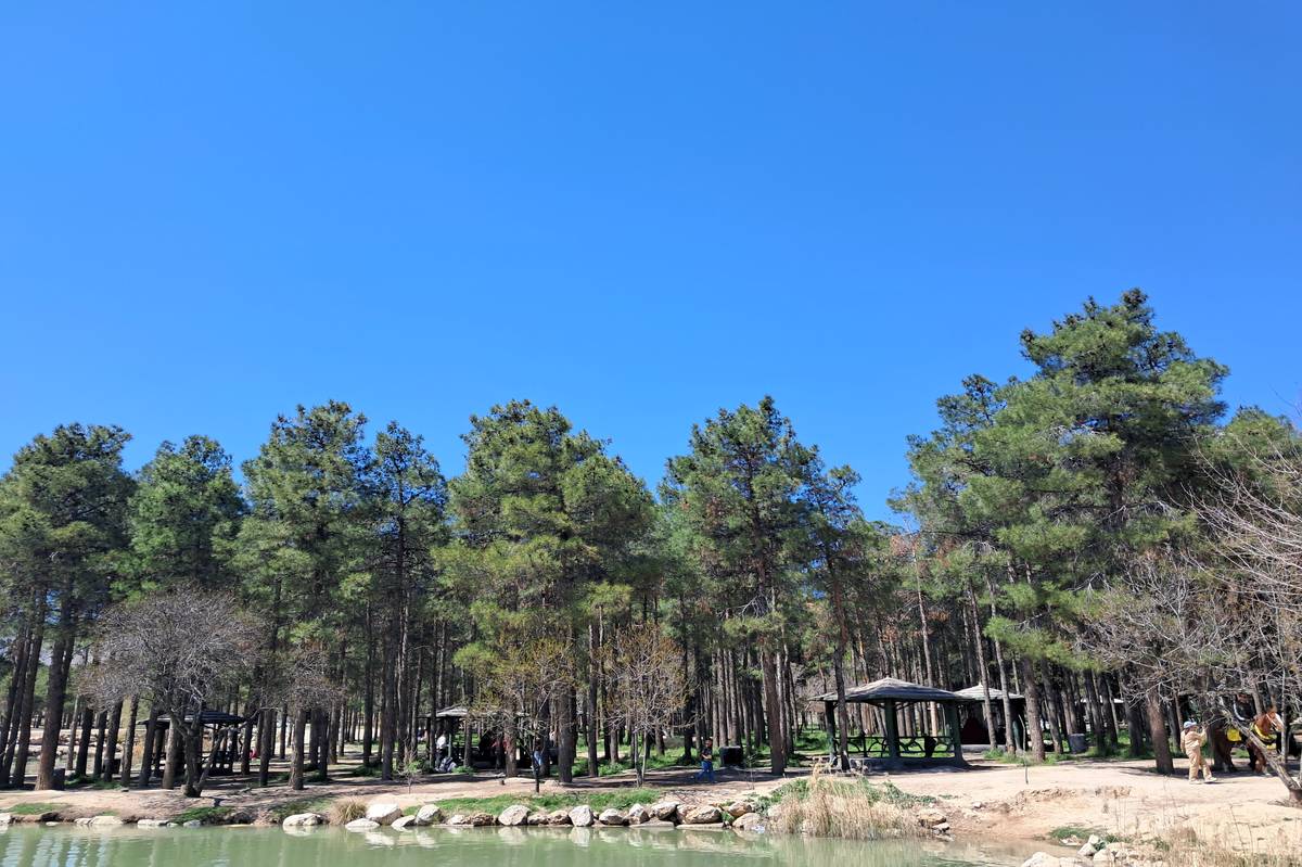 ارسال ۴۰۰ نامه نظارتی به دستگاه قضایی برای حفظ پارک‌های جنگلی اطراف تهران